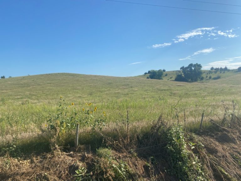 Farmland Listings OK Real Estate and Auction